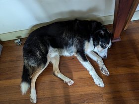 Louie and Manny 2025