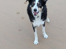 Louie and Manny 2026